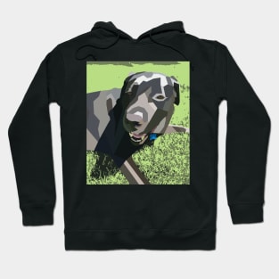 Black Lab Geo Dog Hoodie